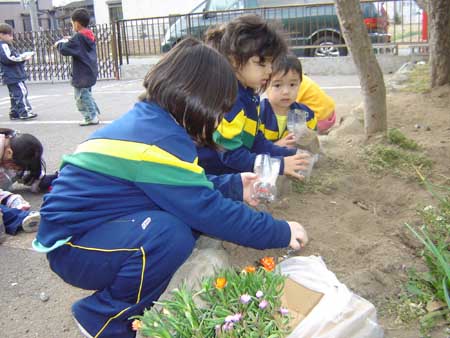 003-Projeto Cuidando das Plantinhas