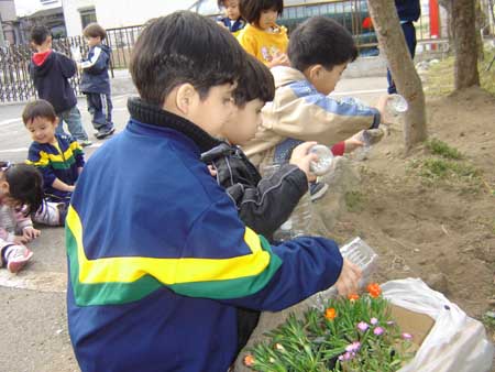 005-Projeto Cuidando das Plantinhas