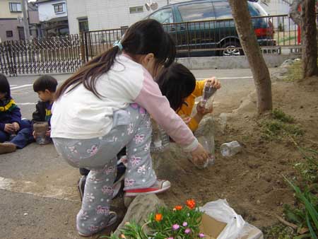 006-Projeto Cuidando das Plantinhas