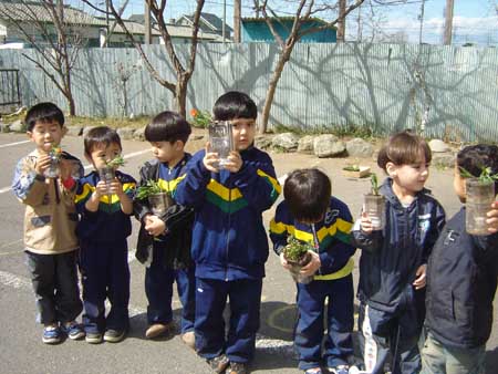 010-Projeto Cuidando das Plantinhas