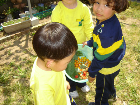 Projeto Saude e Nutricao-058