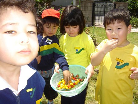 Projeto Saude e Nutricao-060